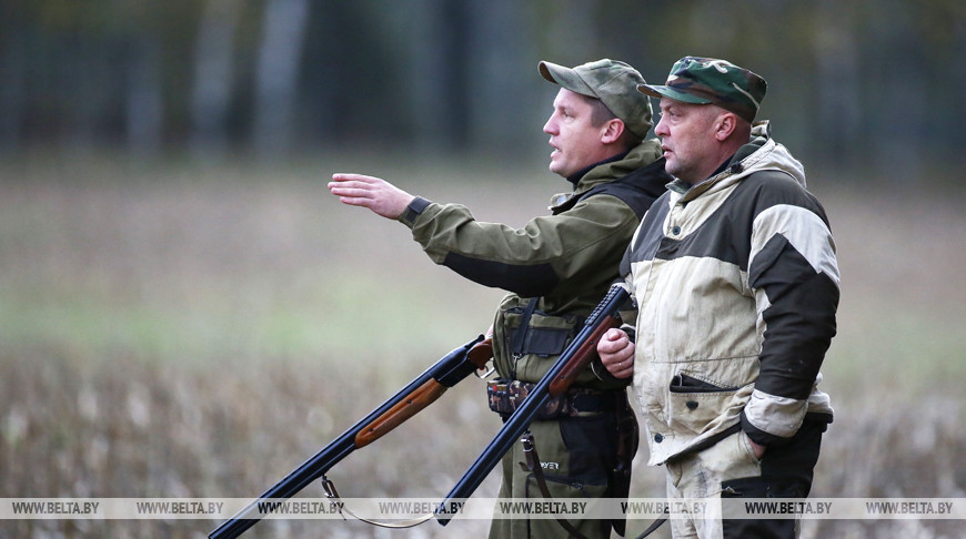 В Беларуси открылся сезон загонной охоты на копытных