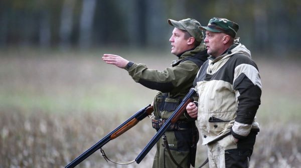 В Беларуси открылся сезон загонной охоты на копытных