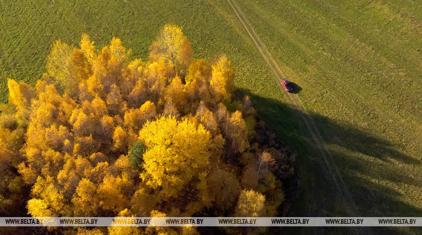 Осень в Беларуси