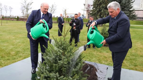 Президент Кубы посадил дерево на Аллее почетных гостей у Дворца Независимости