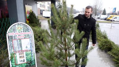 Калинковичский лесхоз планирует продать более 1,1 тыс. новогодних деревьев