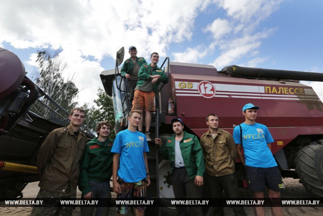В Вилейском районе белорусско-российский студотряд стал полноценным участником уборочной кампании