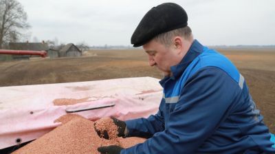 В четырех районах Могилевской области началась посевная