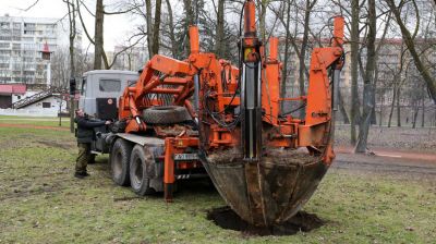 В парке Горького с помощью спецмашины посадили дерево