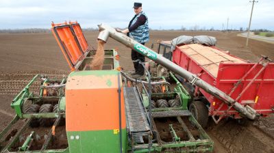 К севу яровых зерновых культур приступили в Речицком районе