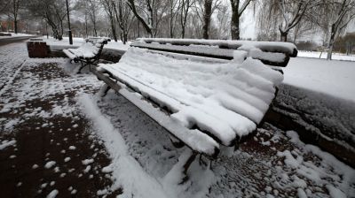 В Гомеле в минувшие выходные выпал снег