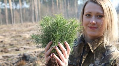 Более 15 млн молодых деревьев высадят во время "Недели леса" в Гомельской области