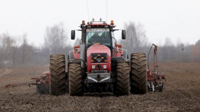 Практически во всех районах Витебской области начали выборочный сев ранних зерновых