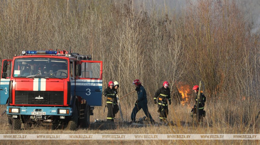 Спасатели ликвидировали возгорание сухой растительности в Гродно