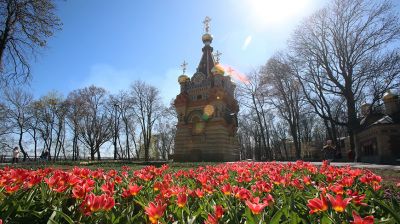 Весна в Гомельском парке