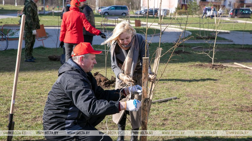 В витебском микрорайоне во время экоакции высадили более сотни деревьев