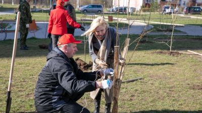 В витебском микрорайоне во время экоакции высадили более сотни деревьев