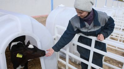 В агрогородке Завойть завершают новую МТФ на 1 тыс. голов