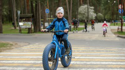 Лесопарк "Пышки" в Гродно