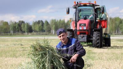 Заготовку сенажа ведут в Светлогорском районе