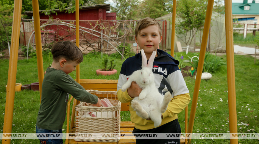 Благотворительную акцию "Домашние животные" проводит фонд "Каритас"
