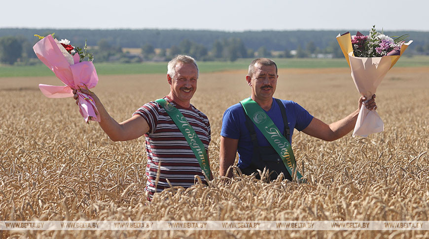 Комбайнер из Гродненского района первым в стране намолотил 5 тыс. т зерна нового урожая