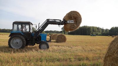 К севу озимых зерновых готовятся в Кировском районе