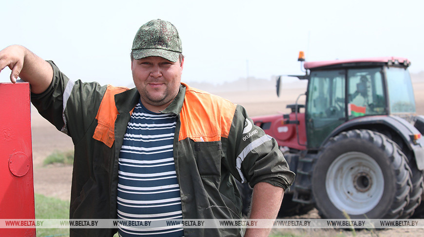 В Гомельской области завершается сев озимого рапса