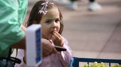 Сельскохозяйственные ярмарки начались в Гродно