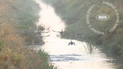 ЛУЧШИЕ ФОТО НЕДЕЛИ ПО ВЕРСИИ БЕЛТА