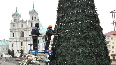 В Гродно украшают новогоднюю елку на Советской площади