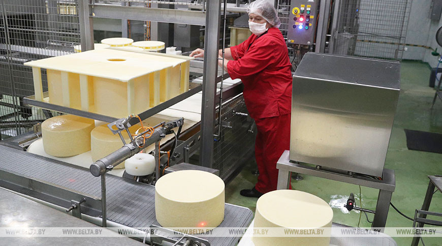 Славгородский филиал "Бабушкиной крынки" модернизирует линию по производству сыров