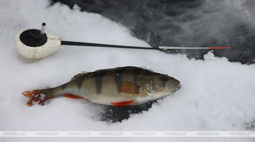 Зимняя рыбалка в Витебске