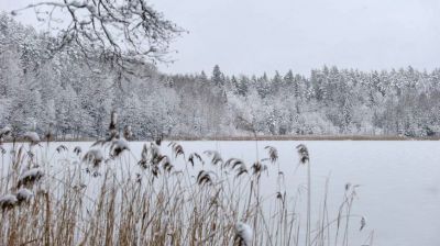 Зима в заказнике "Голубые озера"