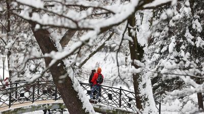 Мороз и небольшой снег ожидается в Беларуси 11 января