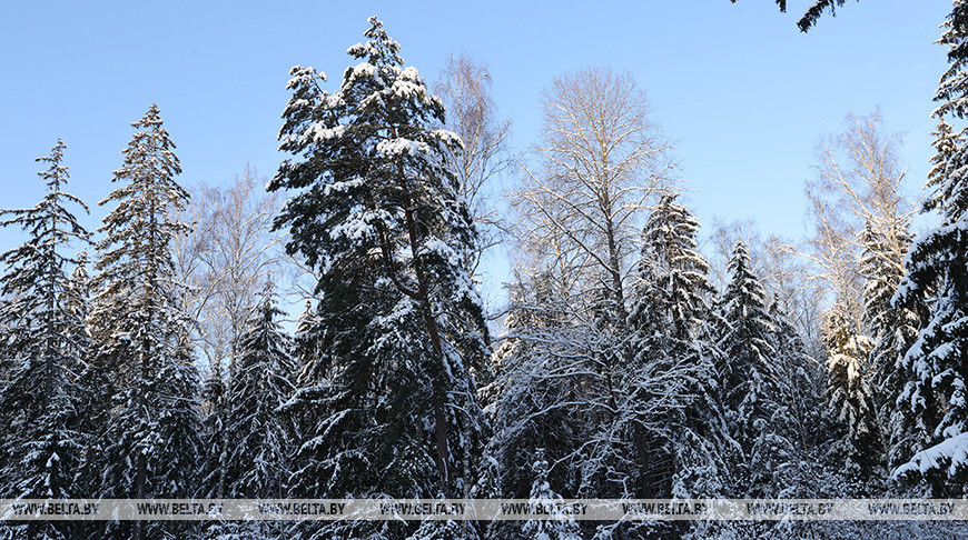 Зима в Кормянском районе