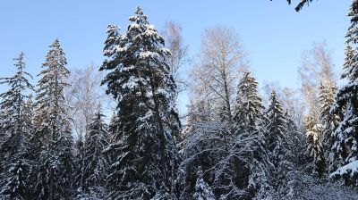 Зима в Кормянском районе