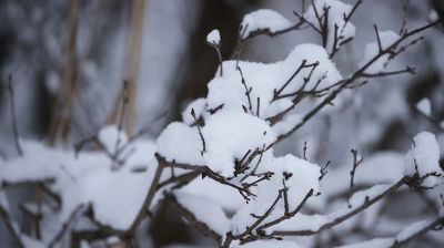 Зима в республиканском ландшафтном заказнике "Озеры"