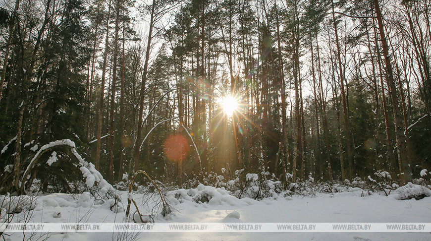 До +9°С ожидается в Беларуси 22 февраля
