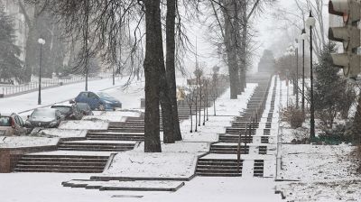 Оранжевый уровень опасности объявлен в Беларуси 7 марта из-за сильного ветра
