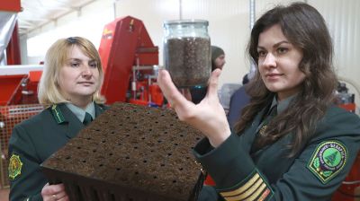 Линия по высеву семян лесных культур в кассеты заработает в Могилевском лесхозе