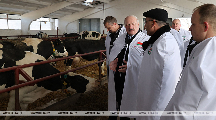 Лукашенко посетил молочно-товарный комплекс "Обухово" в Гродненском районе