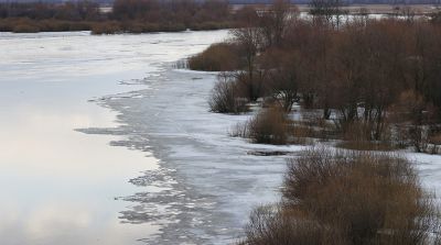 Половодье на реках Гомельщины