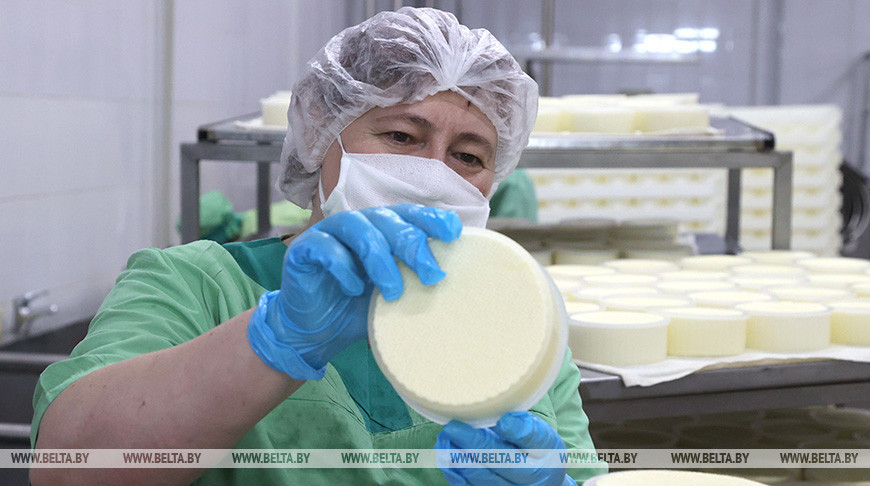 Осиповичский филиал "Бабушкиной крынки" ежедневно перерабатывает до 500 т молока