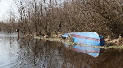 Припять вышла из берегов в Петриковском районе