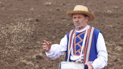 "Засевки" провели в Могилевском районе