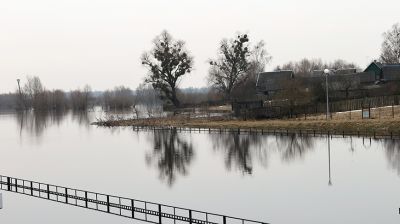 В Петриковском районе Припять вплотную подошла к сельским подворьям