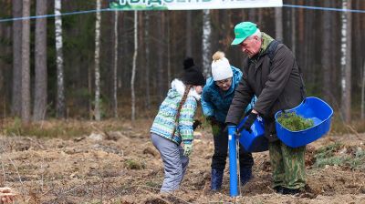 "Неделя леса" стартовала в Беларуси