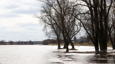 На Днепре в Могилеве растет уровень воды