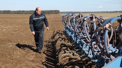 Сев гороха идет в Кировском районе