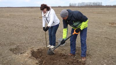 Плантация грецкого ореха появилась в Кировском районе