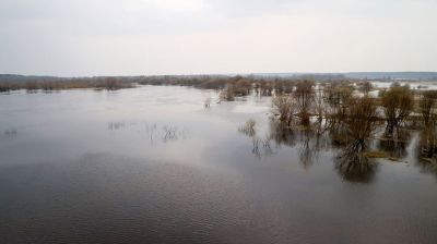 Паводок на Соже