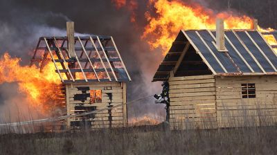 Учения по ликвидации крупного лесного пожара прошли в Городокском районе