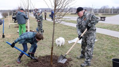Лукашенко в день субботника высаживал деревья на своей малой родине в Александрии