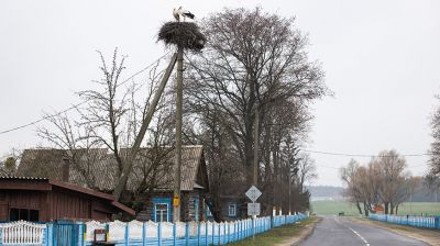 Наровлянский район - один из самых пострадавших от чернобыльской катастрофы